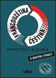Praktický slovník francouzsko-český, česko-francouzský - Vlasta Rejtharová