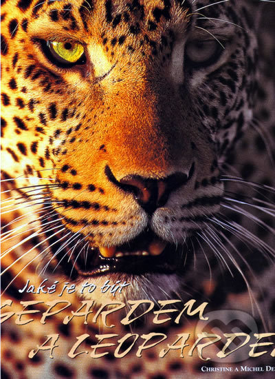 Jaké je to být gepardem a leopardem - kniha z kategorie Chov zvířat