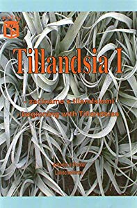 Tillandsia I - Začínáme s tilandsiemi. Beginning with Tillandsias