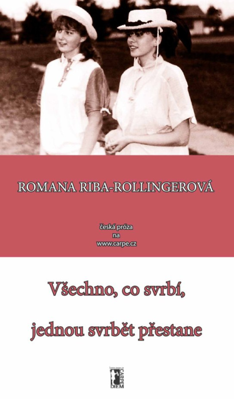 Příjemný večírek + DVD - Slávek Janoušek