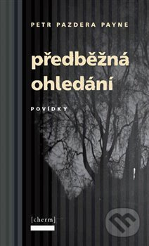 Předběžná ohledání - Petr Pazdera Payne - kniha z kategorie Beletrie