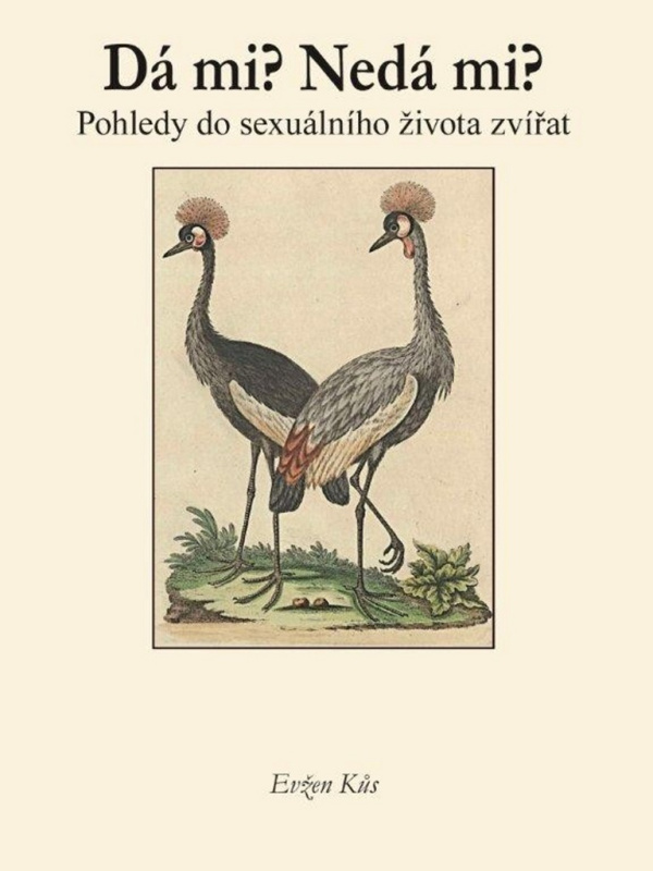 Dá mi? Nedá mi? - Evžen Kůs
