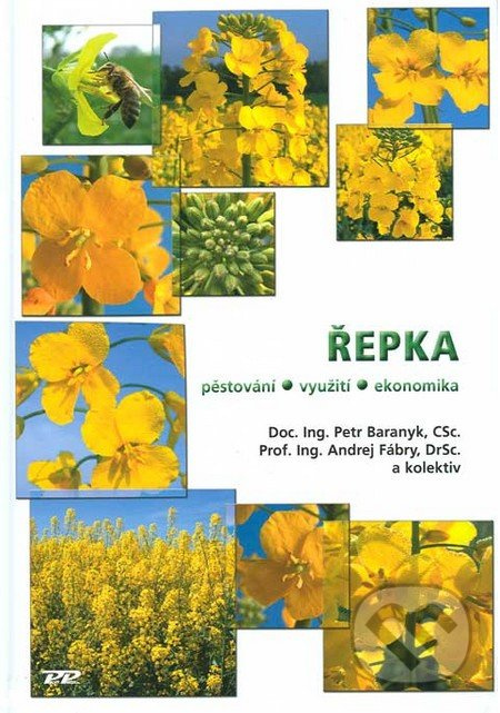 Řepka (pěstování, využití, ekonomika) - Petr Baranyk, Andrej Fábry a kolektív - kniha z kategorie Zemědělství