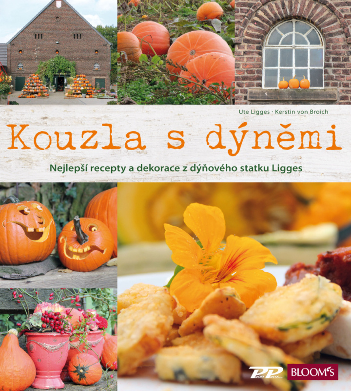 Kouzla s dýněmi - Ute Ligges, Kerstin von Broich