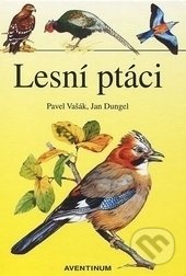 Lesní ptáci - Jan Dungel