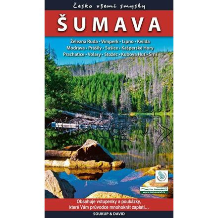 Šumava - Česko všemi smysly - Vladimír Soukup, Petr David, Petr Ludvík