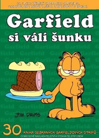 Garfield si válí šunku - Jim Davis