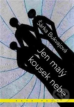 Jen malý kousek nebe - Šárka Bukvajová