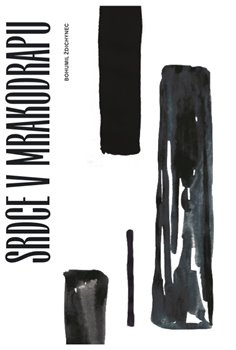 Srdce v mrakodrapu - Bohumil Ždichynec