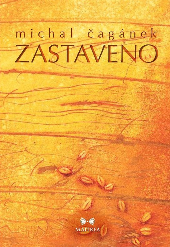 Zastaveno -  Michal Čagánek
