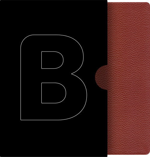 Bible21 - pravá kůže hnědá s etuí - Alexandr Flek - kniha z kategorie Bible