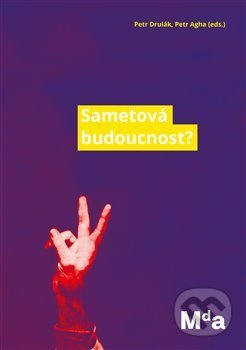 Sametová budoucnost? (Eseje o naší současnosti) - Petr Drulák - kniha z kategorie Eseje, úvahy a glosy