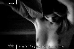 Malé hejno bílých vran - Jan Velíšek