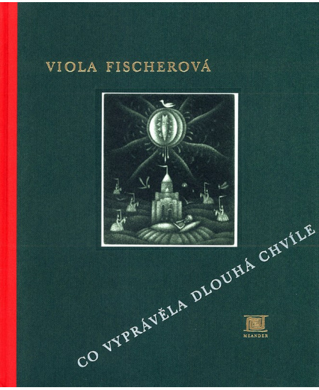 Co vyprávěla dlouhá chvíle - Viola Fischerová