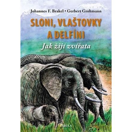 Sloni, vlaštovky a delfíni - Jak žijí zvířata