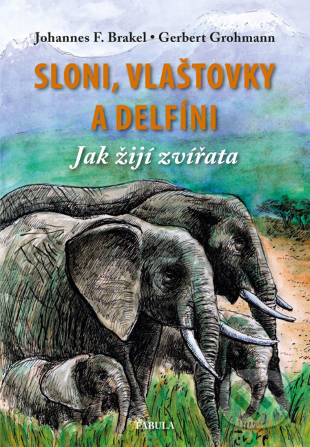 Sloni, vlaštovky a delfíni - Jak žijí zvířata