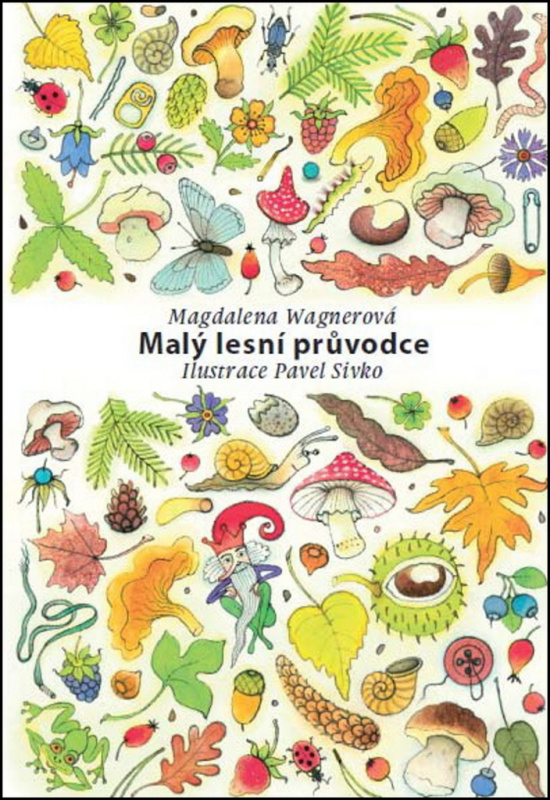 Malý lesní průvodce - Magdalena Wagnerová