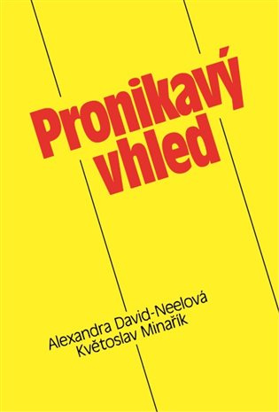 Pronikavý vhled - Květoslav Minařík