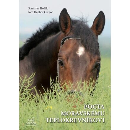 Pocta moravskému teplokrevníkovi - Dalibor Gregor, Stanislav Hošák