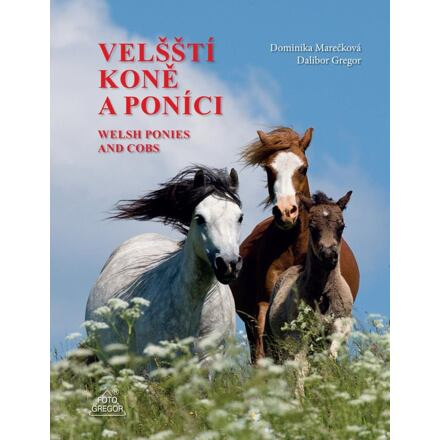 Velšští koně a poníci - Dominika Marečková, Dalibor Gregor