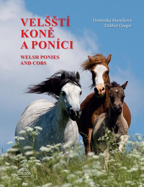 Velšští koně a poníci - Dominika Marečková, Dalibor Gregor