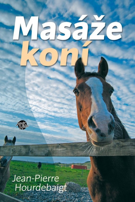 Rok zmatků - Danka Šárková
