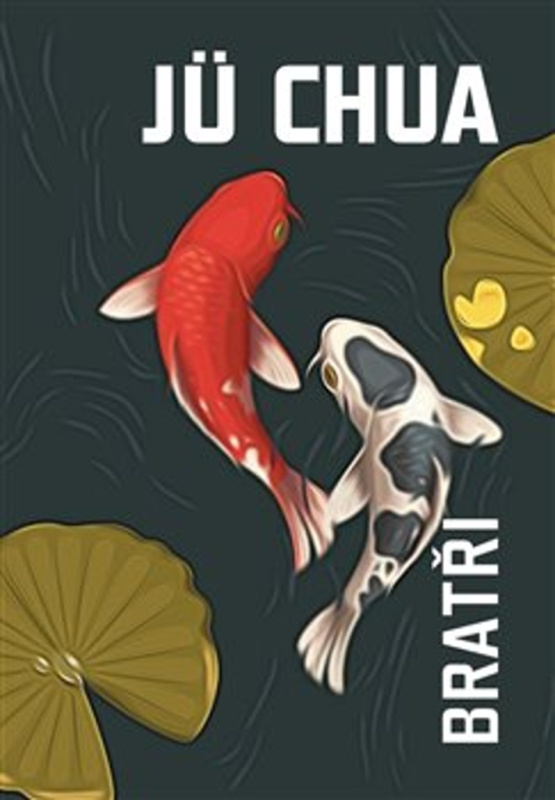 Bratři - Jü Chua - kniha z kategorie Beletrie