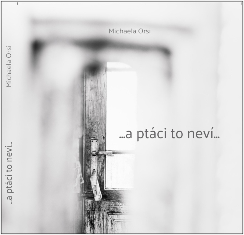 ...a ptáci to neví... - Michaela Orsi