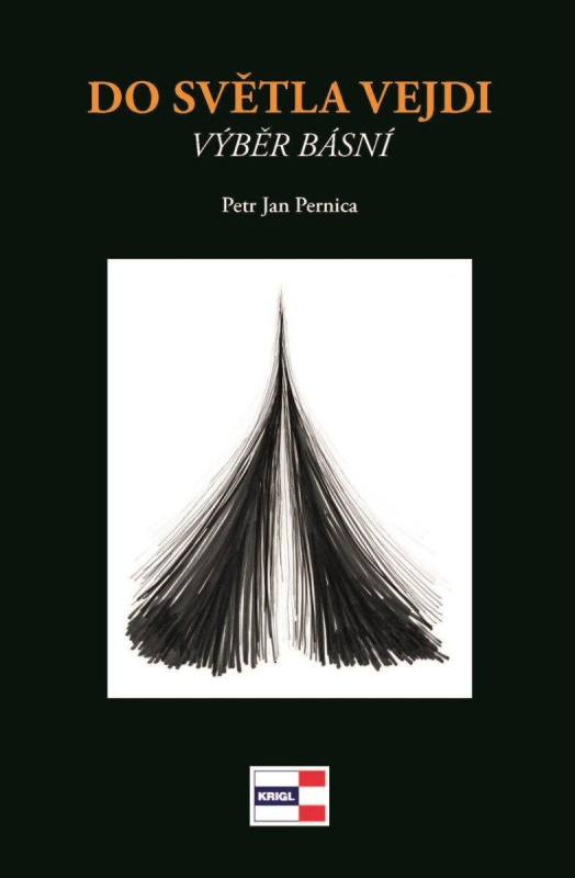 Do světla vejdi - Jan Petr Pernica - kniha z kategorie Poezie