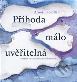 Příhoda málo uvěřitelná - Arnošt Goldflam, Petra Štětinová Goldflamová (ilustrácie) - kniha z kategorie Beletrie pro děti