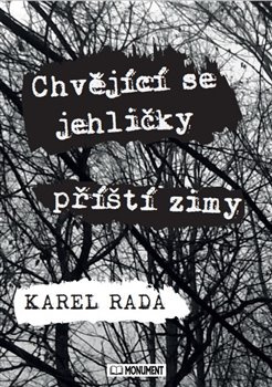 Chvějící se jehličky příští zimy - Karel Rada