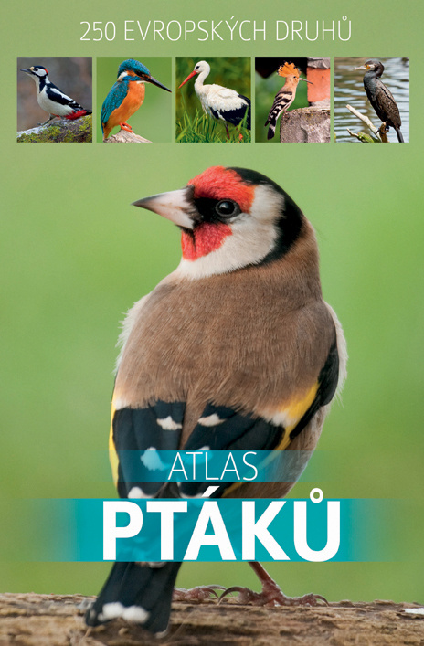 Atlas ptáků - kniha z kategorie Naučné knihy