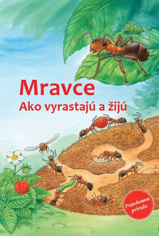 Mravce (Ako vyrastajú a žijú) - Friederun Reichenstetter, Hans-Günther Döring (Ilustrácie) - kniha z kategorie Naučné knihy