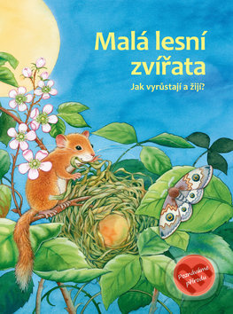 Malá lesní zvířata (Jak vyrůstají a žijí?) - Friederun Reichenstetter, Hans-Günther Döring (Ilustrácie) - kniha z kategorie Naučné knihy