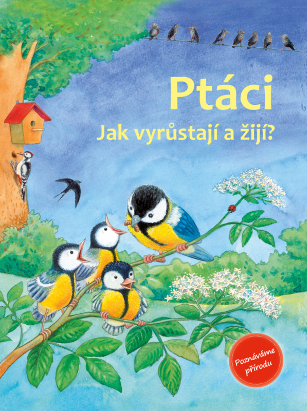 Ptáci (Jak vyrůstají a žijí?) - Friederun Reichenstetter, Hans-Günther Döring (Ilustrácie) - kniha z kategorie Naučné knihy