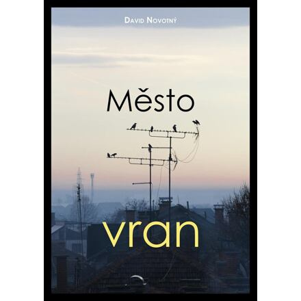 Město vran - David Novotný