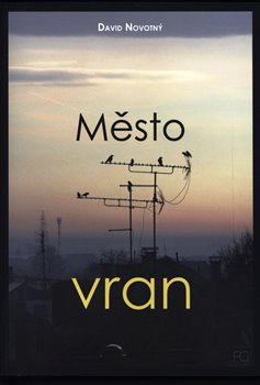 Město vran - David Novotný