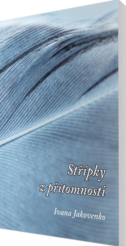 Střípky z přítomnosti