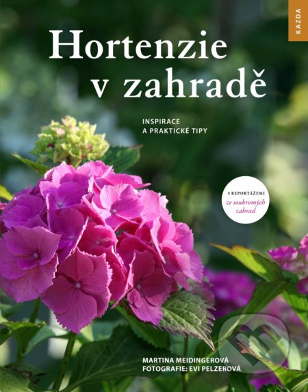 Hortenzie v zahradě - Martina Meidingerová