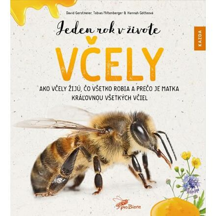 Jeden rok v živote včely - David Gerstmeier, Hannah Götteová, Tobias Miltenberger