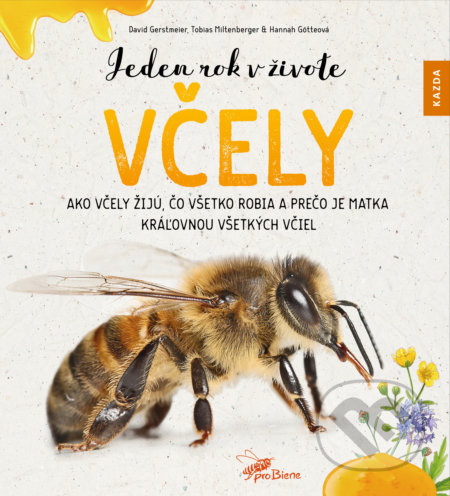 Jeden rok v živote včely - David Gerstmeier, Hannah Götteová, Tobias Miltenberger