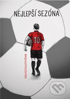 Nejlepší sezona - David Bochníček - kniha z kategorie Beletrie