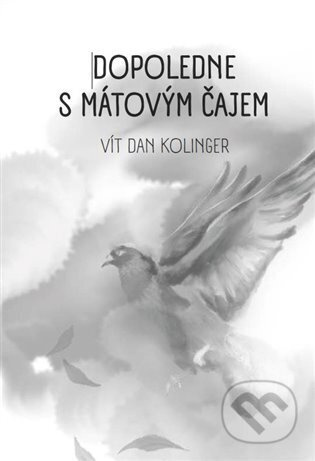 Dopoledne s mátovým čajem - Vít Dan Kolinger