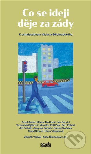 Co se ideji děje za zády - Alice Šimonová - kniha z kategorie Eseje, úvahy a glosy