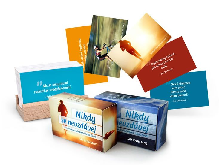 Nikdy se nevzdávej s dřevěným stojánkem (Inspirace pro každodenní výzvy života) - kniha z kategorie Aforismy