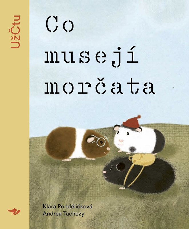 Co musejí morčata - Klára Pondělíčková, Andrea Tachezy