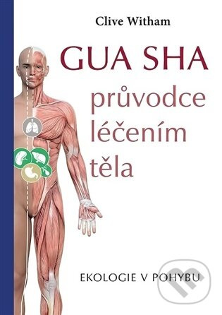 Gua sha - průvodce léčením těla