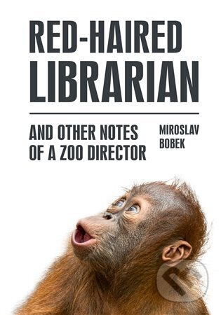 Red-haired Librarian - Miroslav Bobek