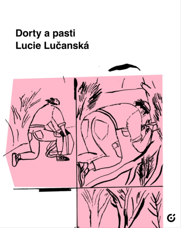 Dorty a pasti - Lucie Lučanská,Dorty a pasti - Lucie Lučanská