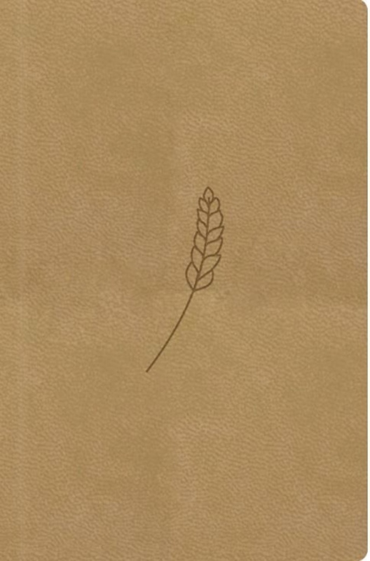 Bible21 – kapesní